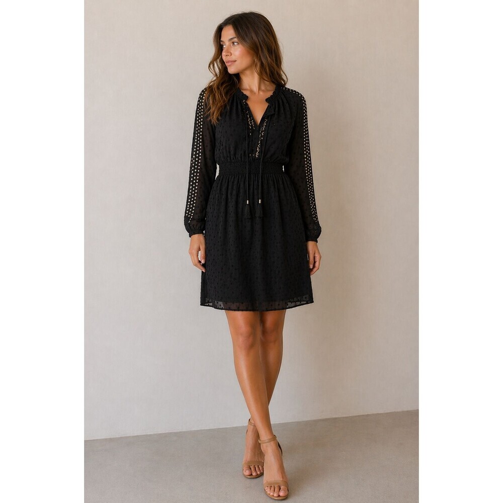 Altuzarra Long Sleeve Boho Beaded Black Sequined Swiss-Dot Chiffon Dress Size 6 - Picture 1 of 8